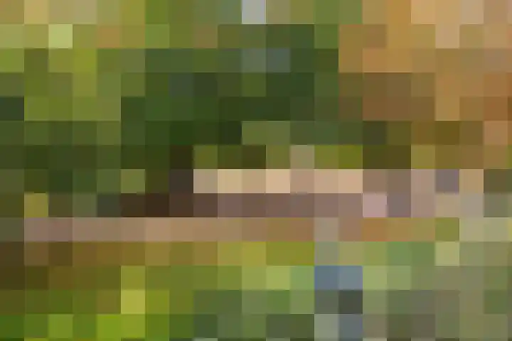 Sarphatipark 51 2 Amsterdam thumbnail 33
