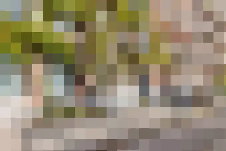 Sarphatipark 51 2 Amsterdam thumbnail 39