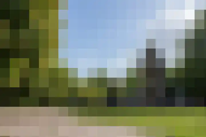 Sarphatipark 6 1 Amsterdam thumbnail 17