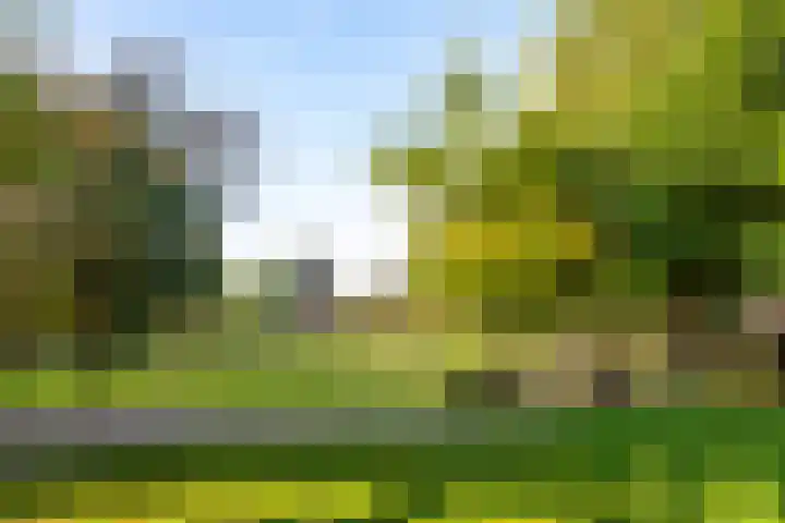 Sarphatipark 66 B Amsterdam thumbnail 24