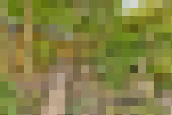 Sarphatipark 72 1 Amsterdam thumbnail 18