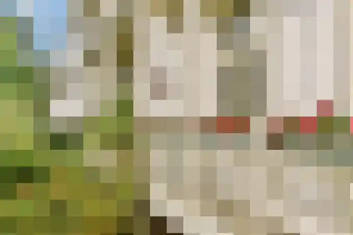 Sarphatipark 72 1 Amsterdam thumbnail 19
