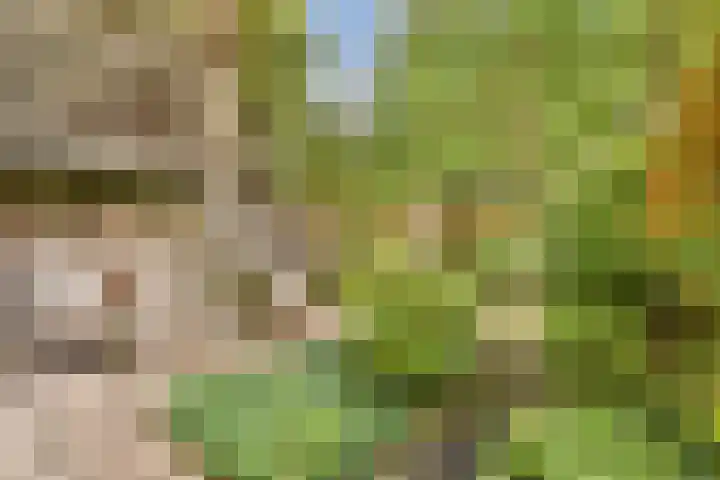 Sarphatipark 72 1 Amsterdam thumbnail 22