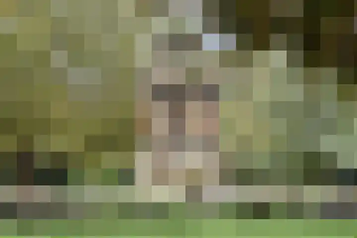 Sarphatipark 72 1 Amsterdam thumbnail 33
