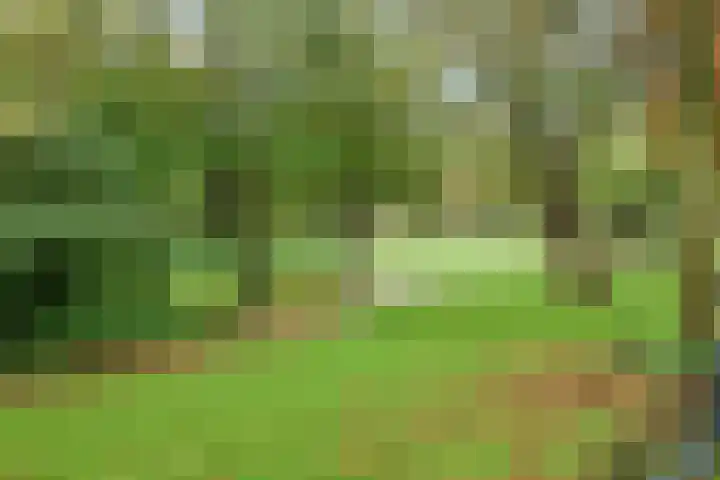 Sarphatipark 72 1 Amsterdam thumbnail 34