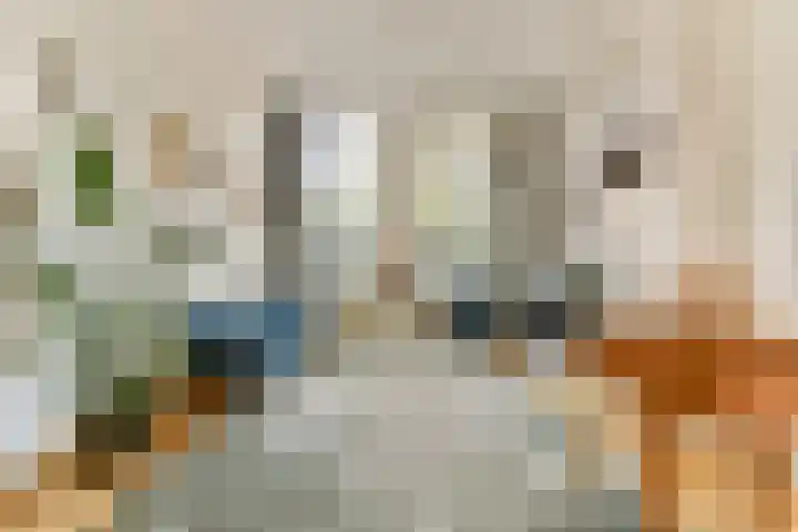 Sarphatipark 72 1 Amsterdam thumbnail 6