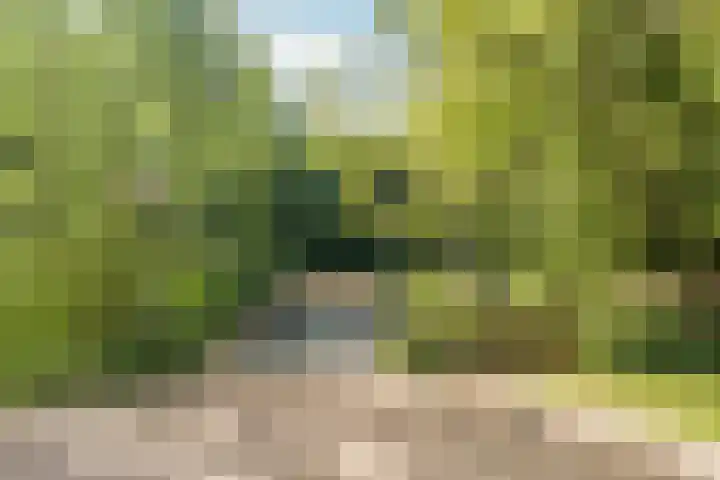 Sarphatipark 74 2 Amsterdam thumbnail 21