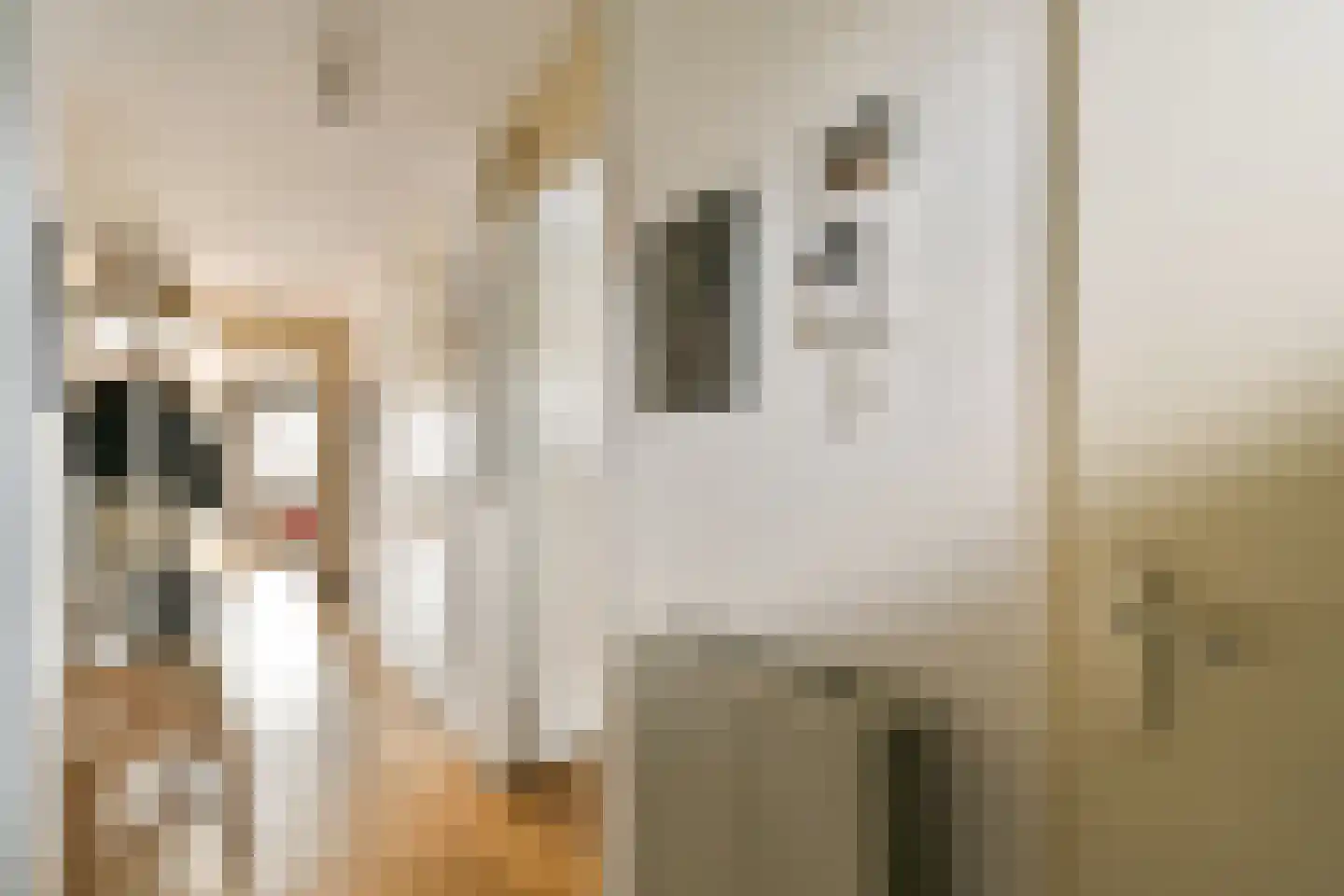 Sarphatistraat 700 Amsterdam thumbnail 5