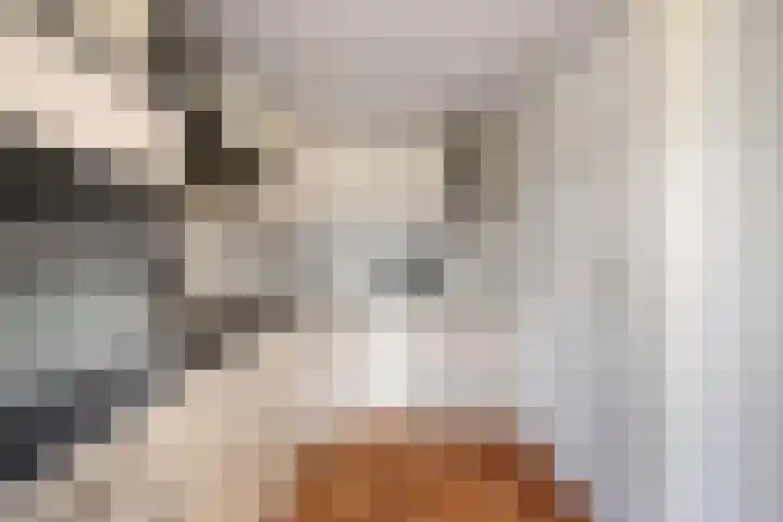 Sasdijk 2 Hulst thumbnail 10