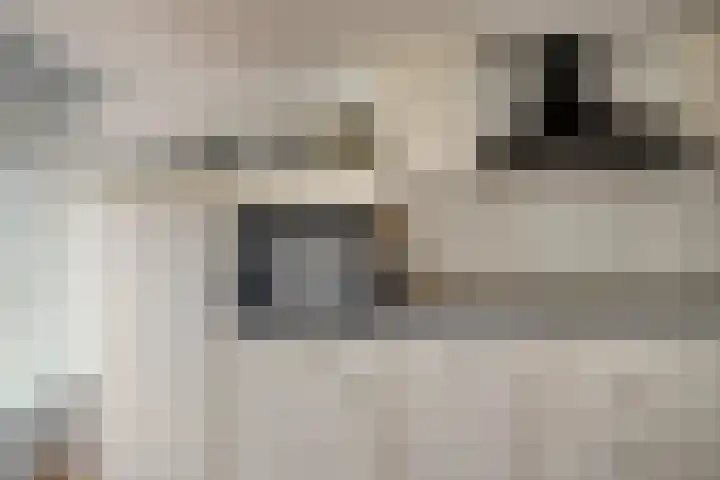 Sasdijk 2 Hulst thumbnail 11