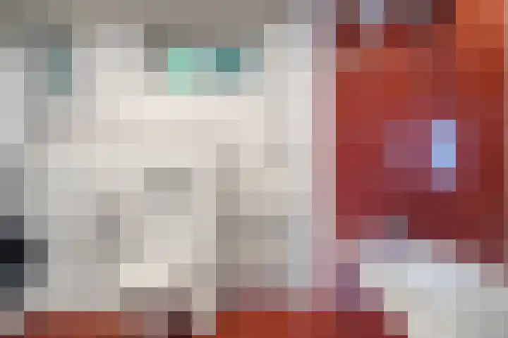 Sasdijk 2 Hulst thumbnail 13