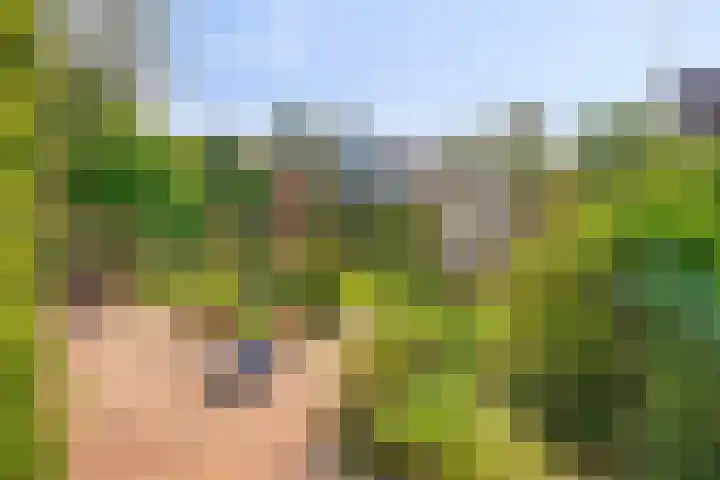 Sasdijk 2 Hulst thumbnail 25