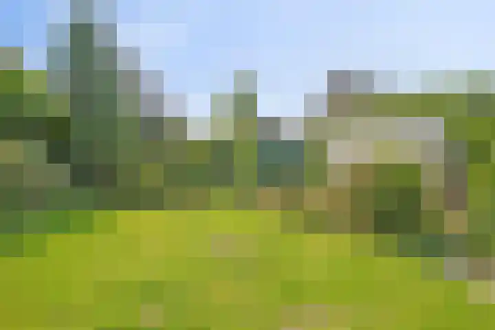 Sasdijk 2 Hulst thumbnail 28