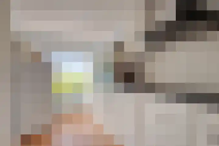 Sasdijk 2 Hulst foto 3