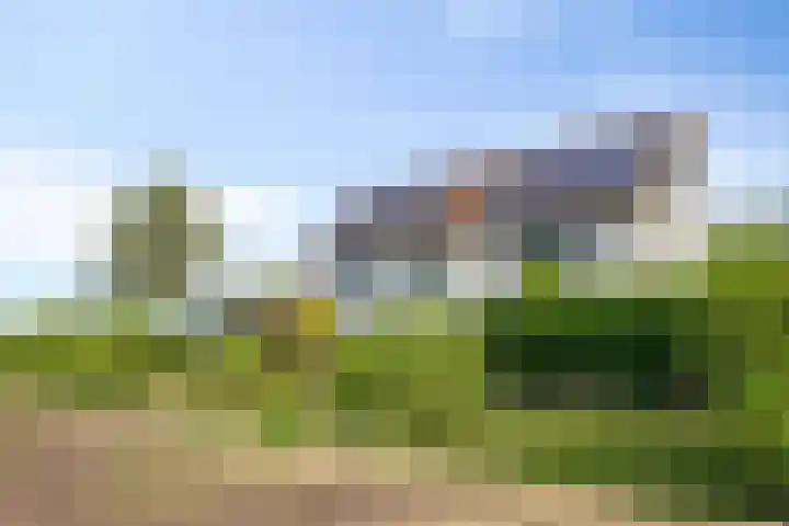 Sasdijk 2 Hulst thumbnail 31