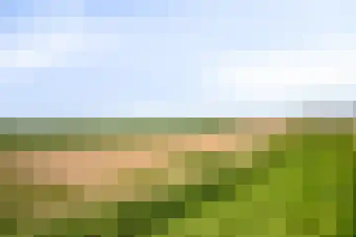 Sasdijk 2 Hulst thumbnail 33