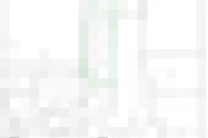 Sasdijk 2 Hulst thumbnail 35