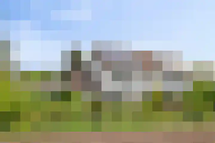 Sasdijk 2 Hulst thumbnail 5