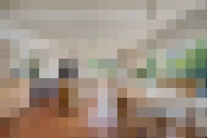 Sasdijk 2 Hulst thumbnail 6