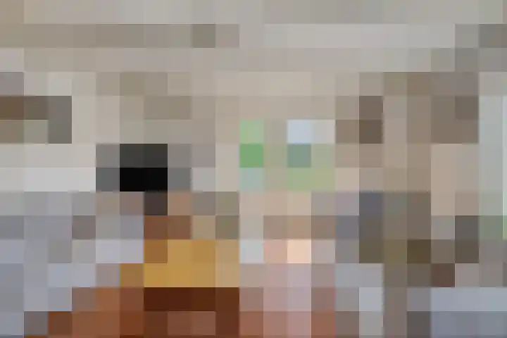 Sasdijk 2 Hulst thumbnail 7