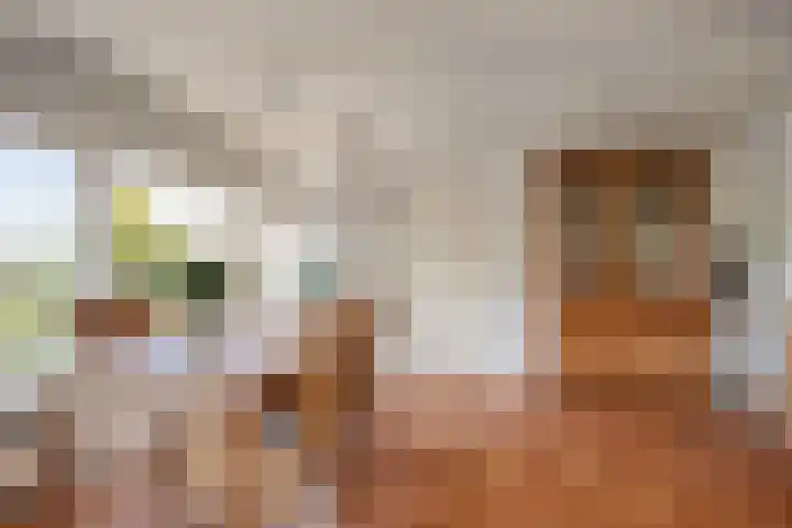 Sasdijk 2 Hulst thumbnail 9