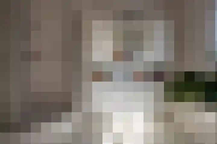 Sasdijk 3 e Werkendam thumbnail 11