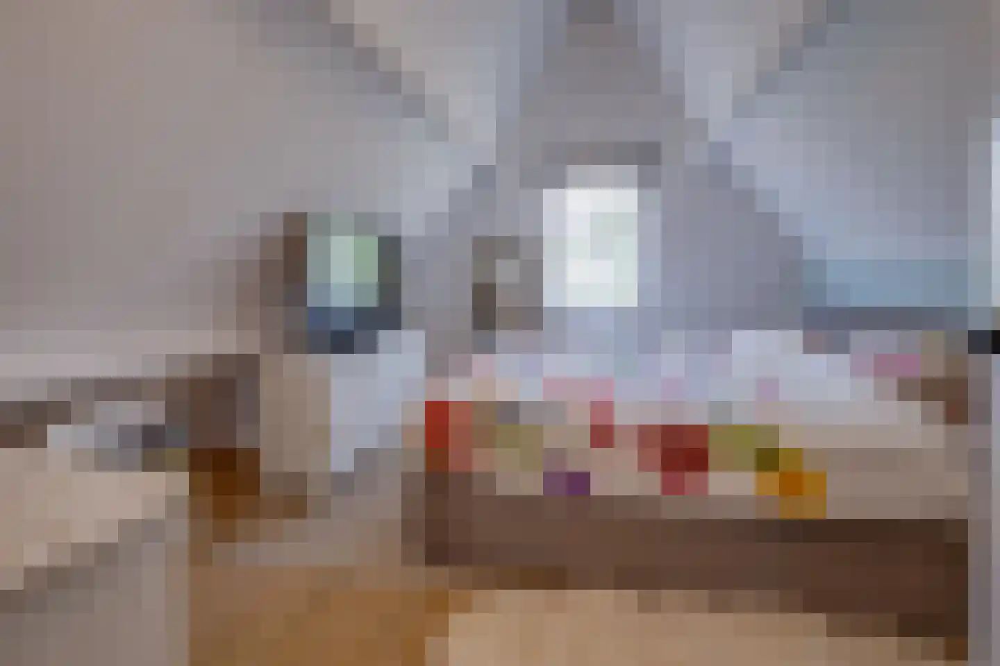 Sasdijk 3 e Werkendam thumbnail 6