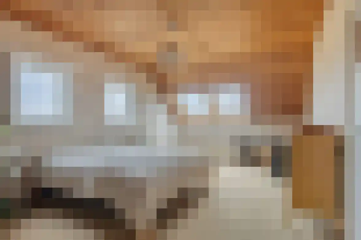 Sasdijk 31 Hulst thumbnail 14