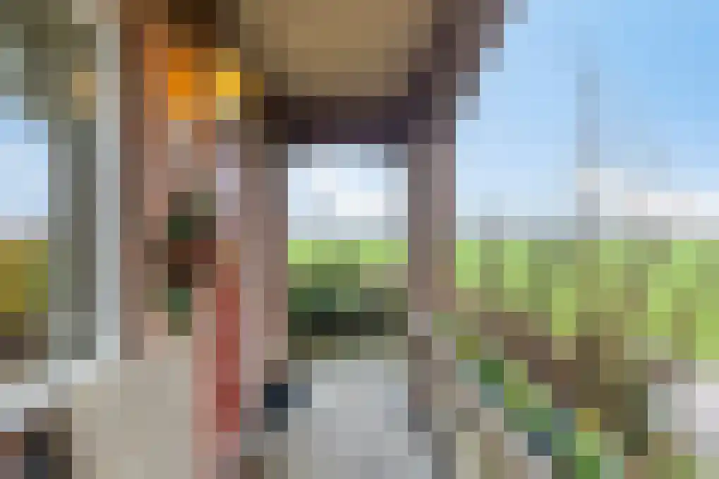 Sasdijk 31 Hulst thumbnail 6