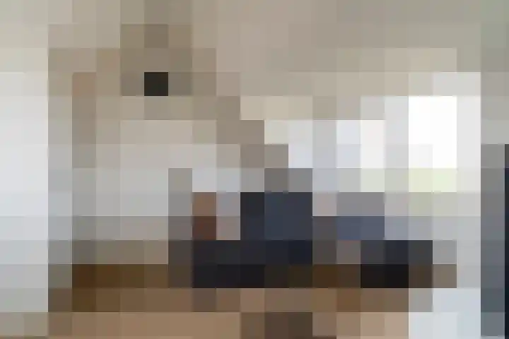 Sasdijk 62 Werkendam thumbnail 20