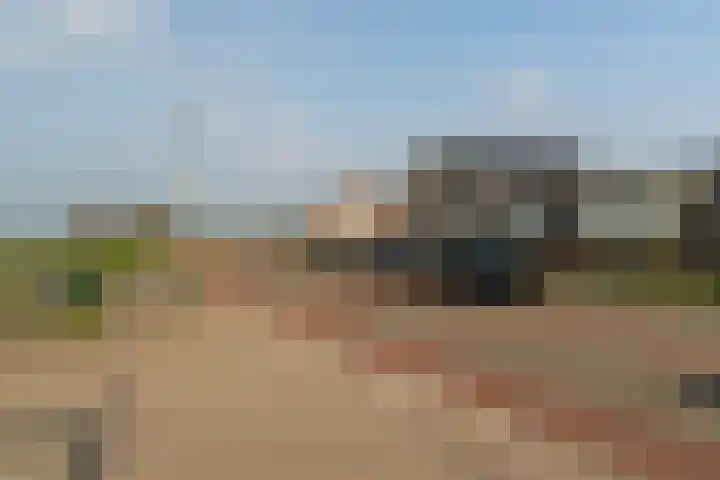 Sasdijk 62 Werkendam thumbnail 30