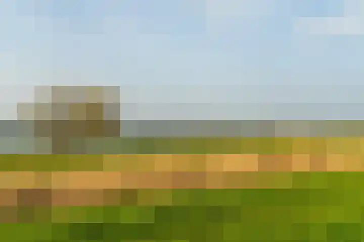 Sasdijk 62 Werkendam thumbnail 5