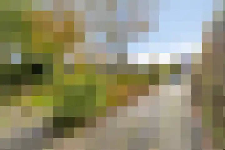 Sassenbergen 5 Borger thumbnail 11