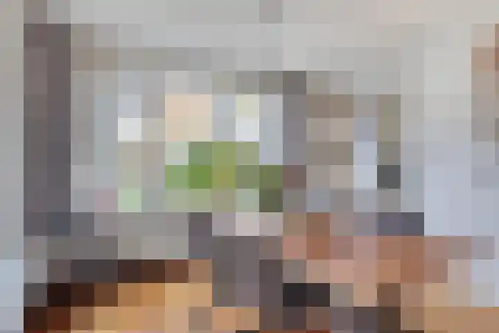 Sassenbergen 5 Borger thumbnail 19