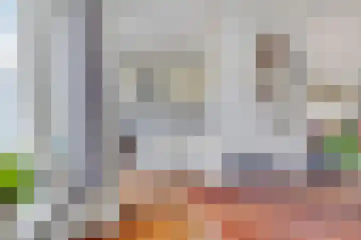 Sassenbergen 5 Borger thumbnail 21