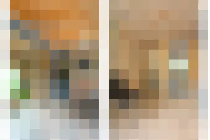Sassenbergen 5 Borger thumbnail 25