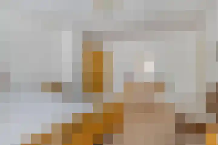 Sassenbergen 5 Borger thumbnail 29