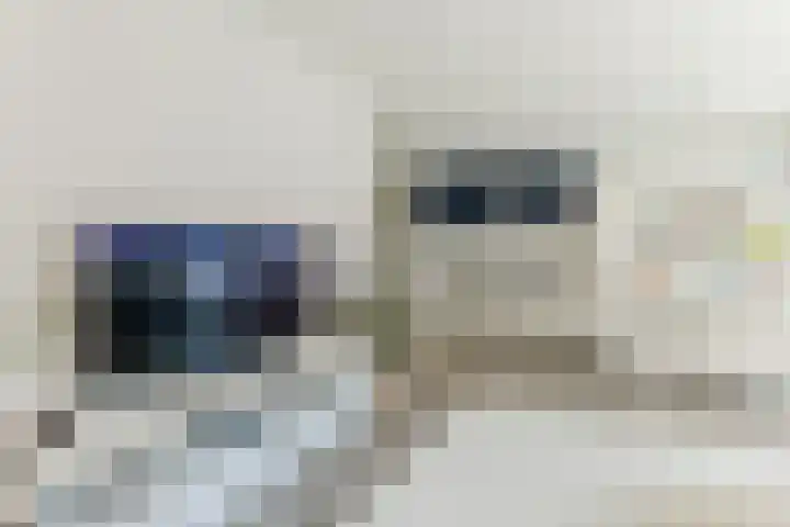 Sassenbergen 5 Borger thumbnail 32