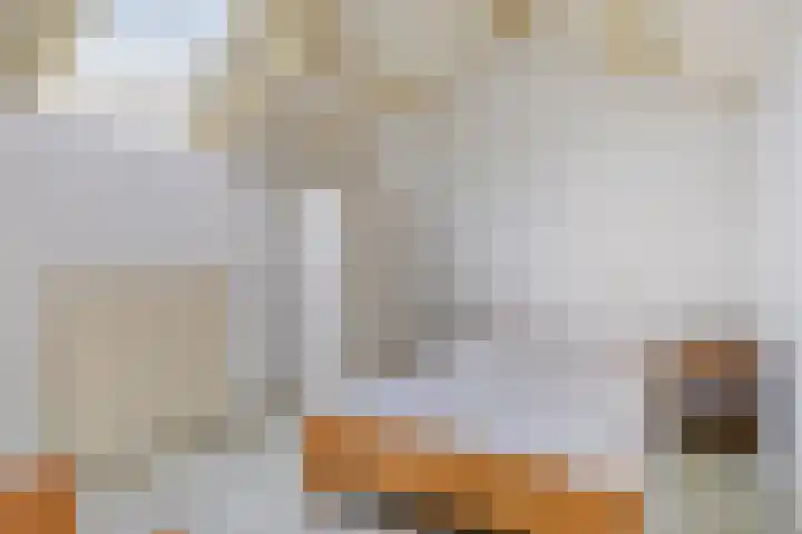 Sassenbergen 5 Borger thumbnail 4