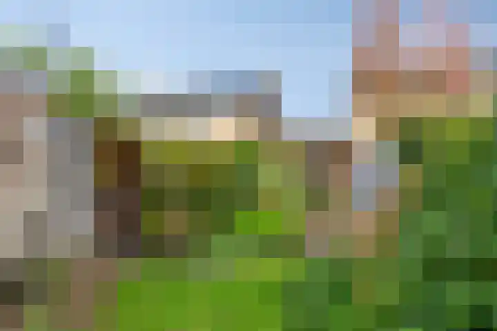 Sassenbergen 5 Borger thumbnail 40