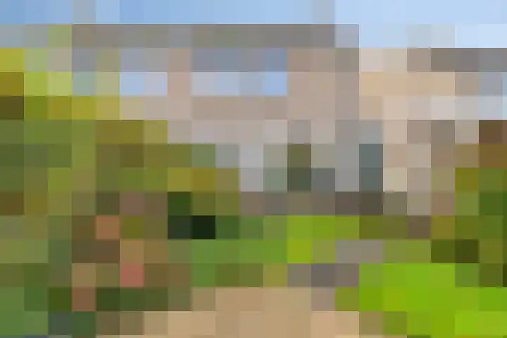 Sassenbergen 5 Borger thumbnail 43