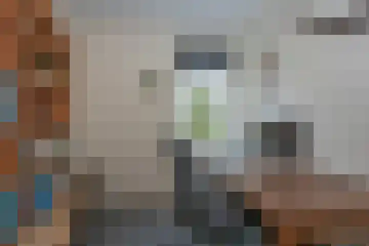 Sassenbergen 5 Borger thumbnail 47