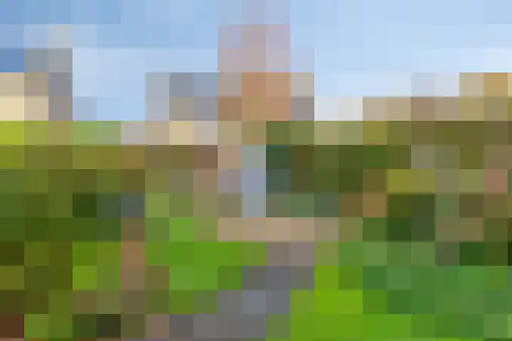 Sassenbergen 5 Borger thumbnail 5