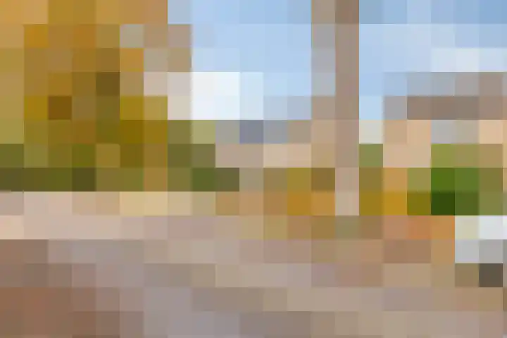 Sassenbergen 5 Borger thumbnail 8