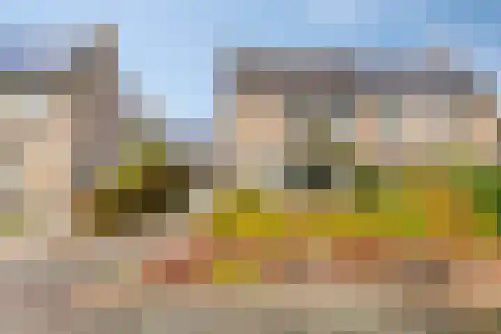 Sassenbergen 5 Borger thumbnail 9