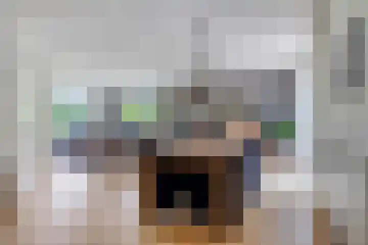 Saterslo 5 Losser thumbnail 10