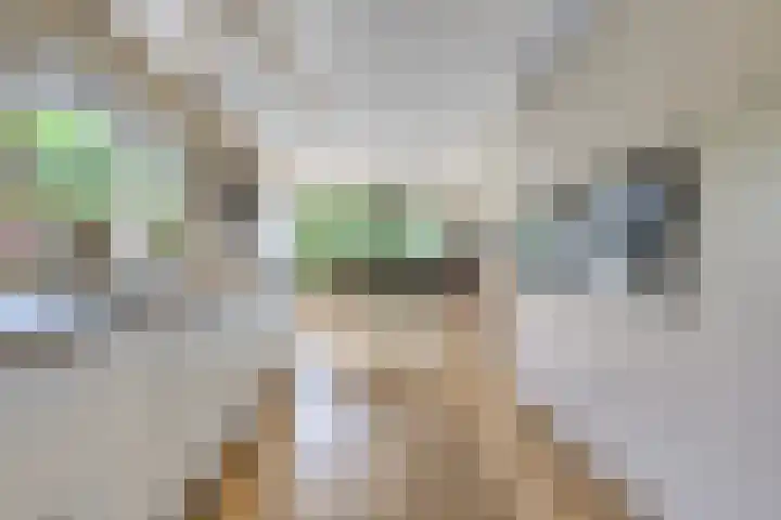 Saterslo 5 Losser thumbnail 14