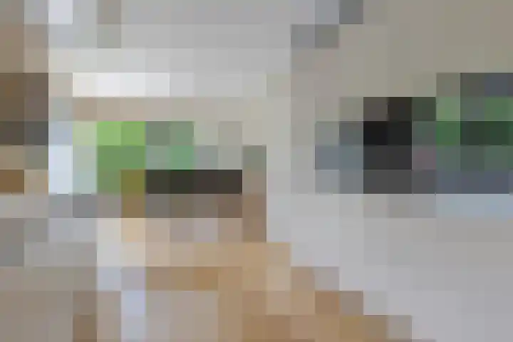 Saterslo 5 Losser thumbnail 16