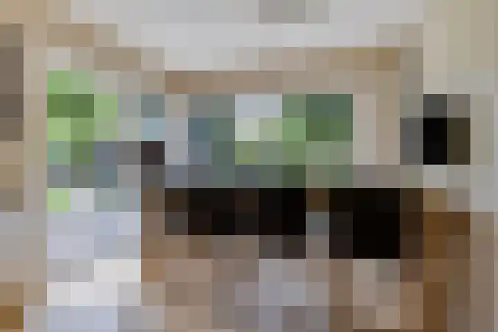 Saterslo 5 Losser thumbnail 20