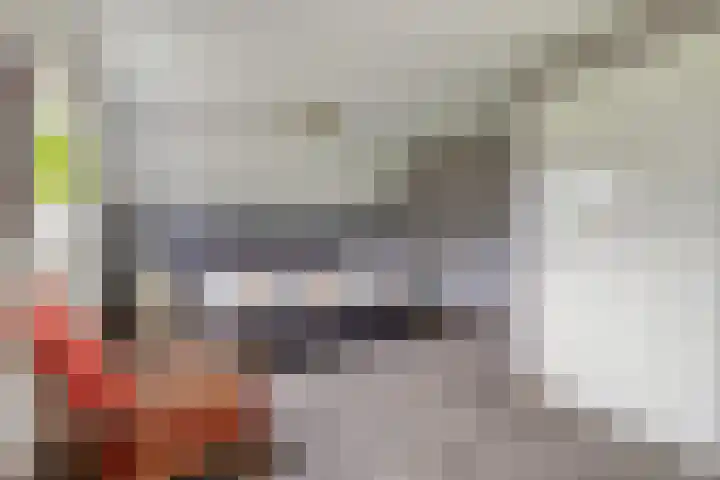 Saterslo 5 Losser thumbnail 25